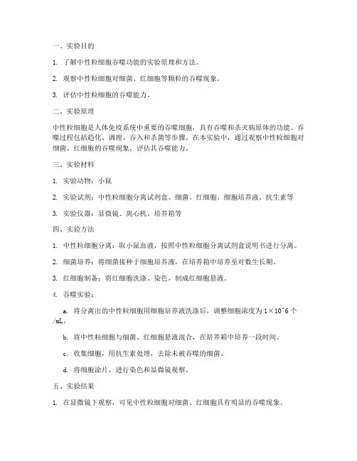吞噬实验实验报告