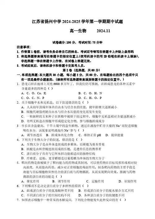 江苏省扬州中学2024-2025学年高一上学期11月期中考试 生物 (含答案)