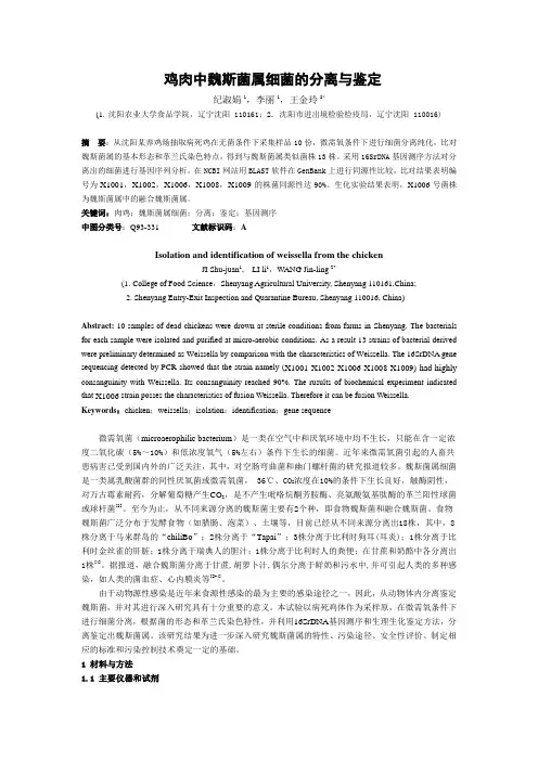 肉鸡中魏斯菌属细菌的分离与鉴定