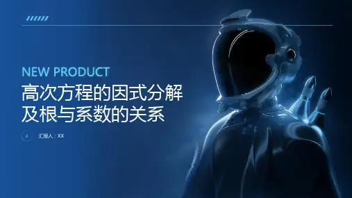 高次方程的因式分解及根与系数的关系