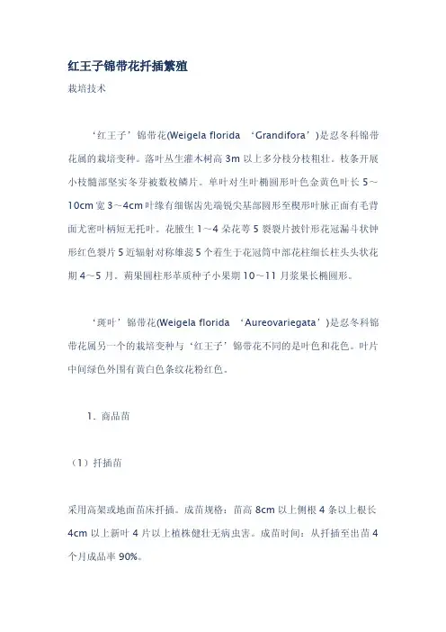 红王子锦带花扦插繁殖.