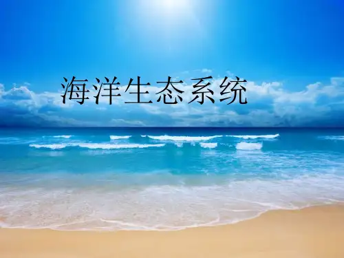 海洋生态系统.ppt