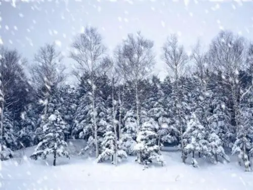 五年级上册音乐课件雪花带来冬天的梦 (2)｜人音版(简谱)(秋)