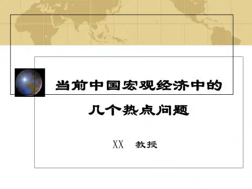 当前宏观经济中的几个热点问题-文档资料
