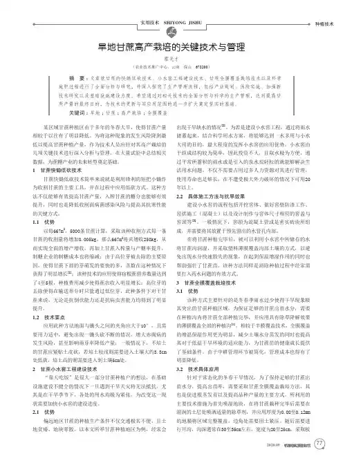 旱地甘蔗高产栽培的关键技术与管理