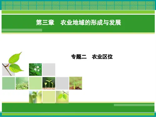 地理(人教版必修2)课件专题2农业区位