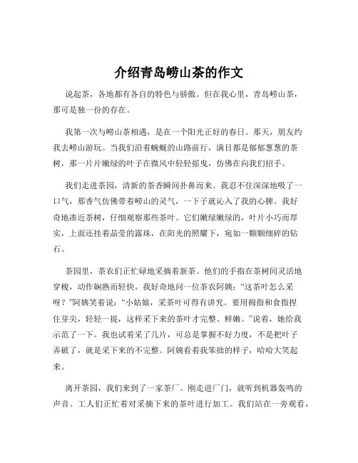 介绍青岛崂山茶的作文