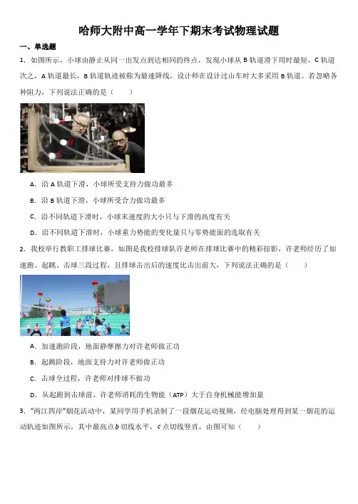 黑龙江省哈尔滨师范大学附属中学校2023-2024学年高一下学期期末物理试题及答案