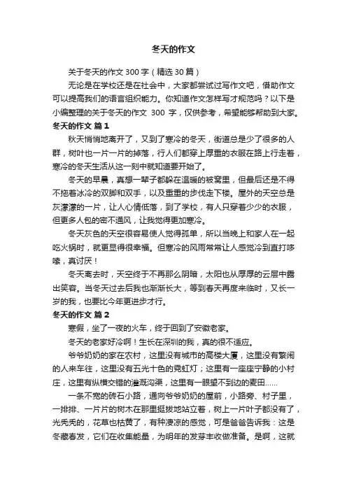 关于冬天的作文300字（精选30篇）