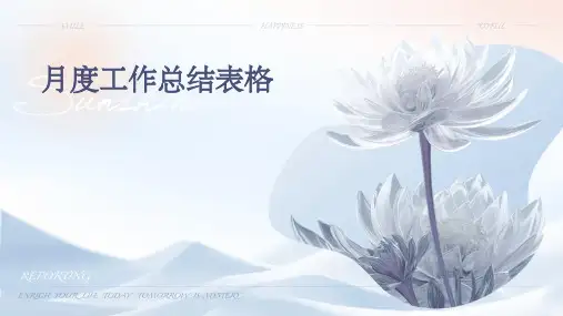 月度工作总结表格PPT