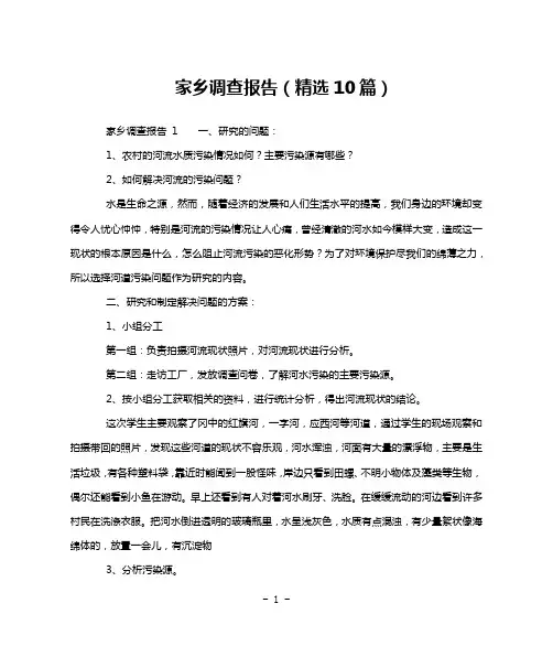 家乡调查报告(精选10篇)