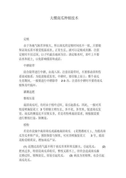 大棚南瓜种植技术