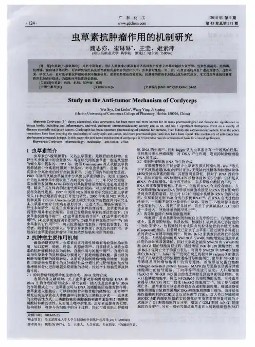 虫草素抗肿瘤作用的机制研究