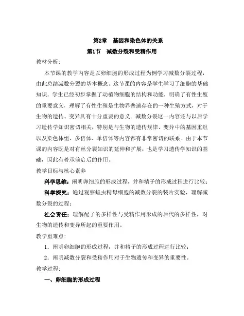 高中必修第二册《二 受精作用》优质课教案教学设计