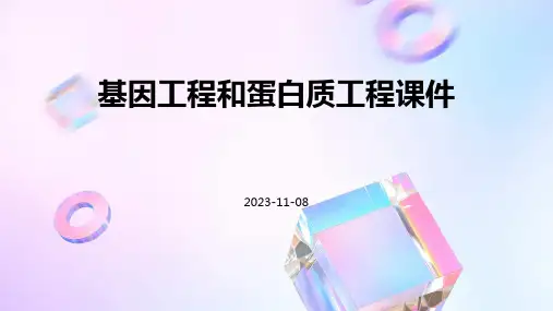 基因工程和蛋白质工程课件