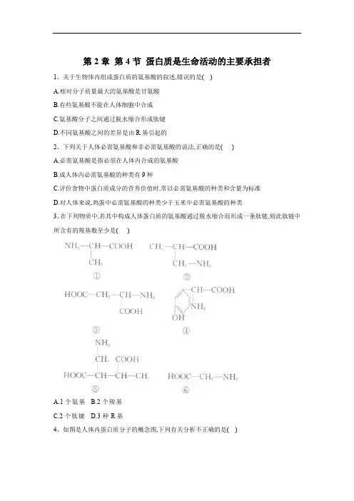 2019-2020学年高中生物人教版(2019)必修1复习练：第2章 第4节 蛋白质是生命活动的主要承担者 Word版含答案