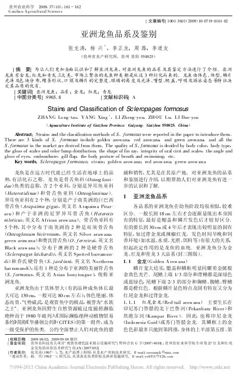 亚洲龙鱼品系及鉴别