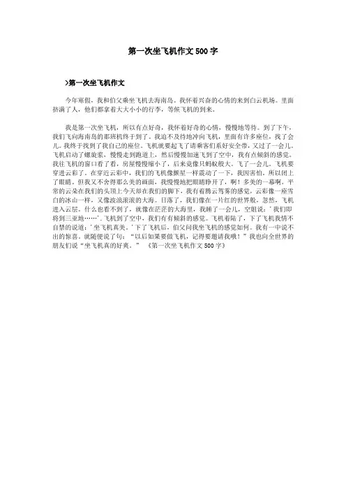 第一次坐飞机作文500字