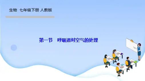 人教版七年级生物下册作业课件 第三章 人体的呼吸 第一节 呼吸道对空气的处理