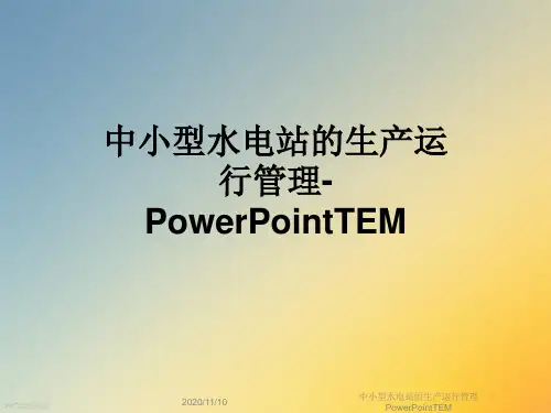中小型水电站的生产运行管理PowerPointTEM