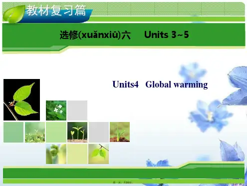 高考英语一轮复习 Unit 4 Global warming指导课件 新人教版选修6