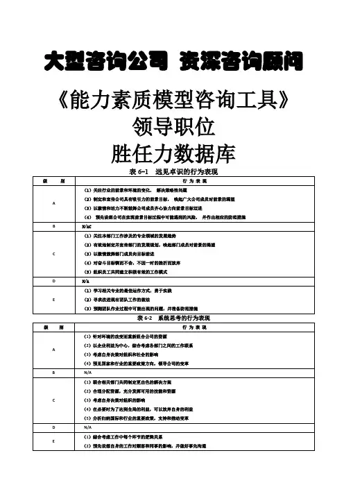 CMC大师著《能力素质模型咨询工具》胜任力数据库