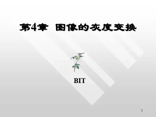 数字图像处理   灰度变换ppt课件