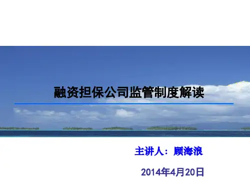 2019年主讲人顾海浪.ppt