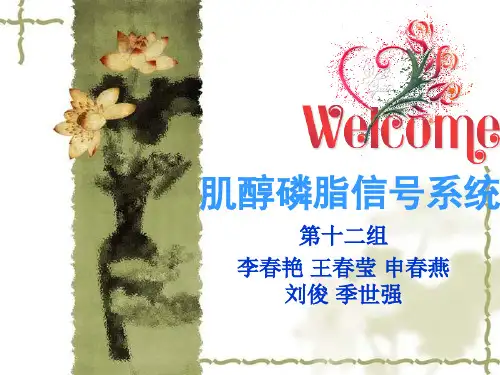 磷脂酰肌醇信号通路