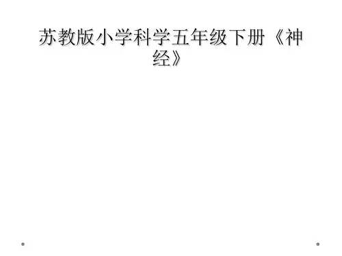 苏教版小学科学五年级下册《神经》