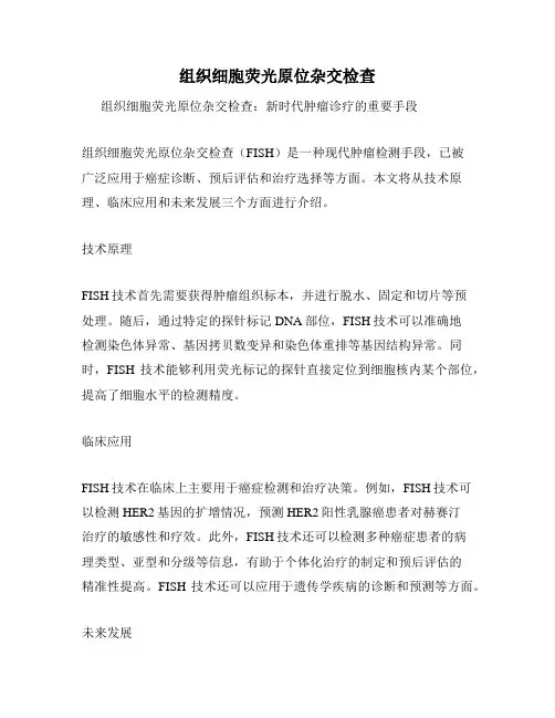 组织细胞荧光原位杂交检查