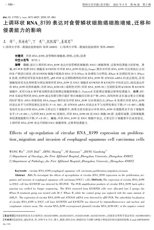上调环状RNA_8199表达对食管鳞状细胞癌细胞增殖、迁移和侵袭能力的影响
