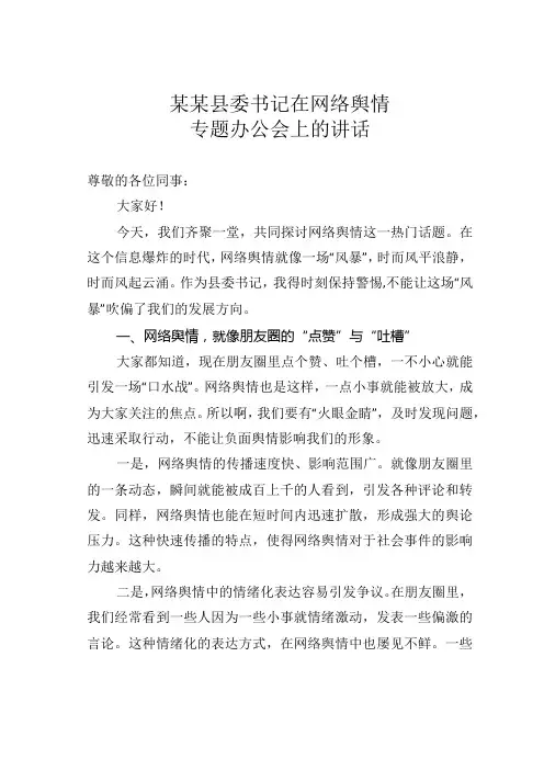 某某县委书记在网络舆情专题办公会上的讲话