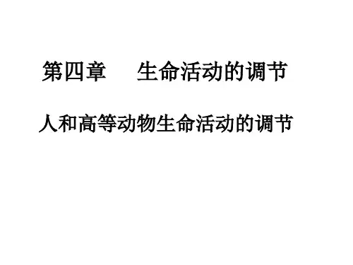 甲状腺激素分级调节PPT课件