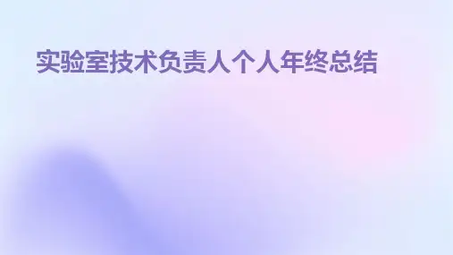 实验室技术负责人个人年终总结PPT