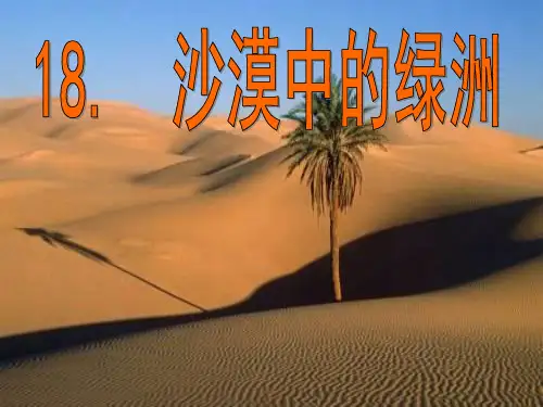 沙漠中的绿洲 ppt课件
