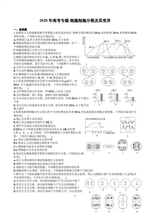 2020年高考生物专题测试 细胞分裂及变异 (含答案)