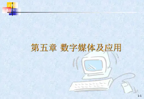 江苏专转本计算机第五章
