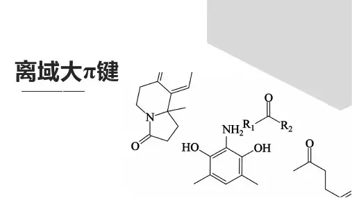 专题：离域大π键