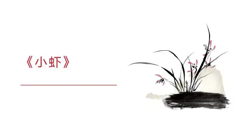 《小虾》ppt课件