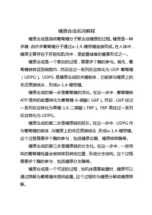 糖原合成名词解释