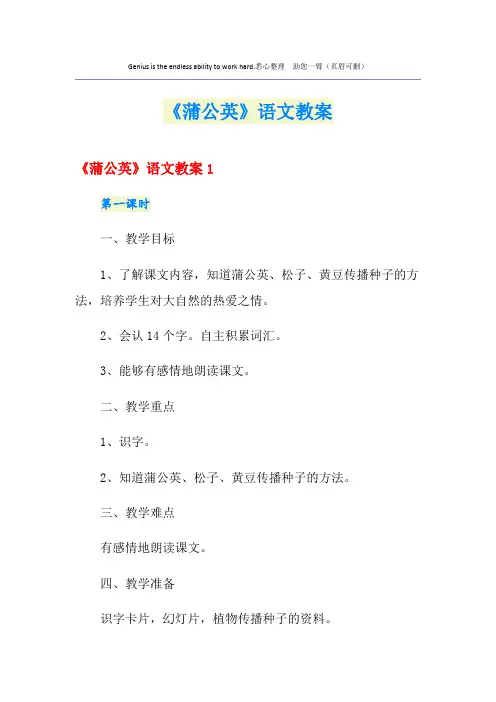 《蒲公英》语文教案