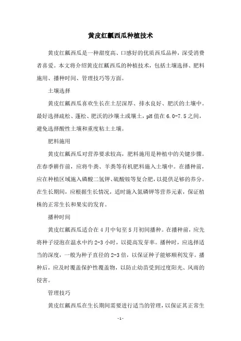 黄皮红瓤西瓜种植技术