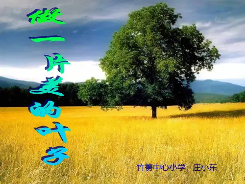 苏教版三上《做一片美的叶子》ppt课件 (4) 公开课获奖课件