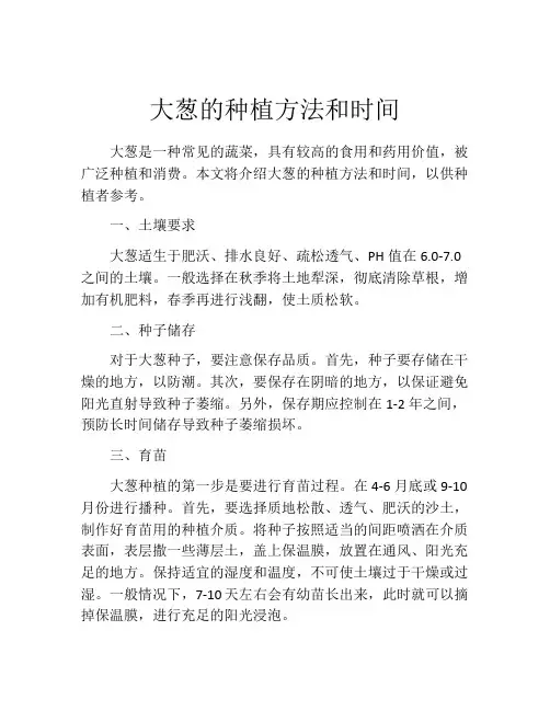大葱的种植方法和时间