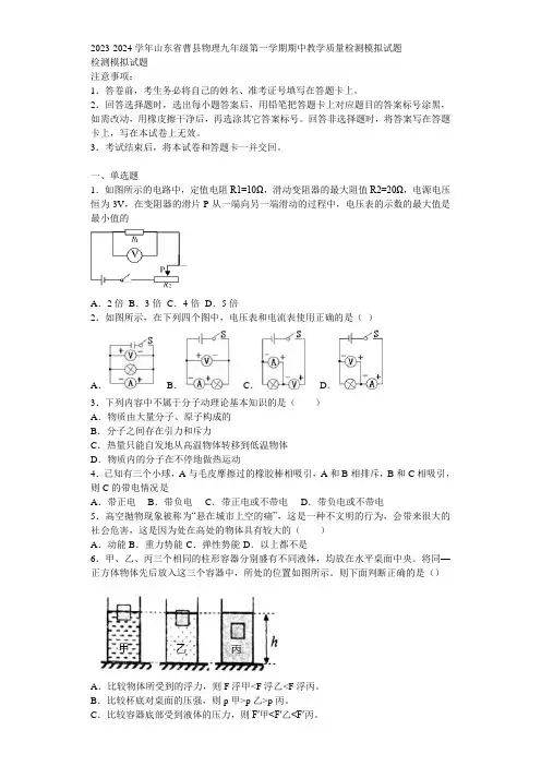 2023-2024学年山东省曹县物理九年级第一学期期中教学质量检测模拟试题含解析