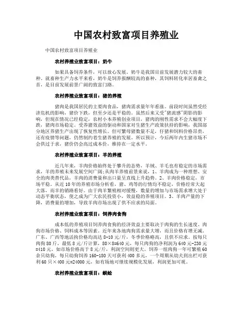 中国农村致富项目养殖业