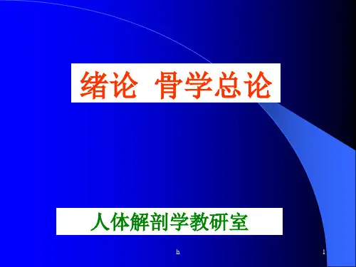 《绪论骨学总论》PPT课件