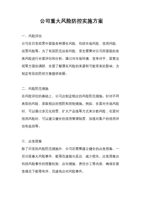 公司重大风险防控实施方案