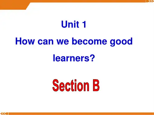 新目标英语九年级Unit1-section B-课件